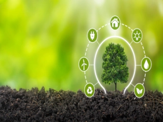 An Introduction to Environmental Sustainability