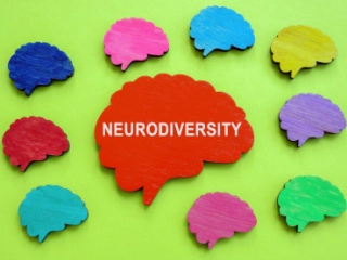An Introduction to Neurodiversity